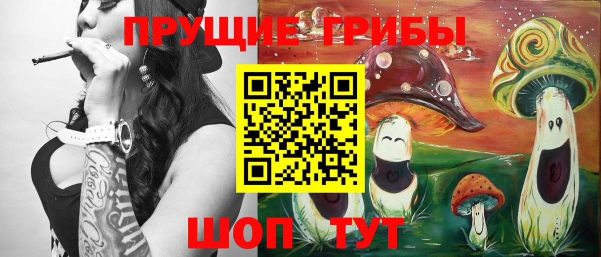 Галлюциногенные грибы Cubensis  Галлюциногенные грибы Cubensis  Вход с VPN  Тула 